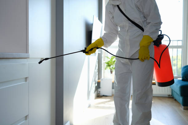 Home Mold Removal in Spicer, MN